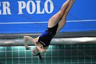 Diving vs USCGA  Wheaton College Swimming & Diving vs US Coast Guard Academy. - Photo By: KEITH NORDSTROM : Wheaton, Swimming, Diving